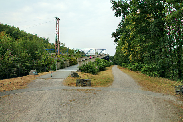 Neben der Hamm-Osterfelder Bahnlinie (Bottrop-Batenbrock) / 22.07.2018