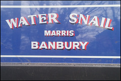 Water Snail - Banbury