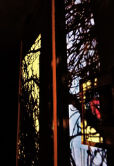 Night Shadows And Window Views
