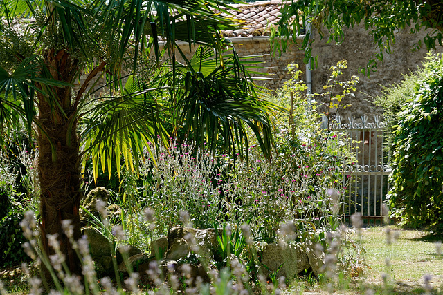 Jardin sous le soleil de midi