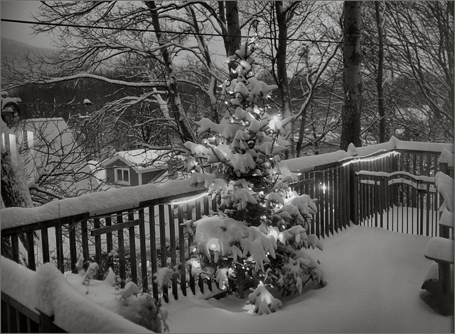 Halfway through a thirty-cm snow fall