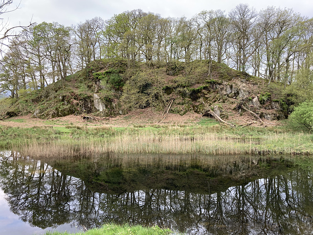 River Brathay reflection