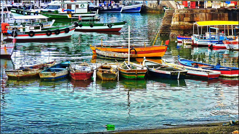 Salvador de Bahìa : o porto de pesca - (604)