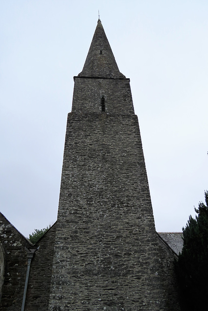 sheviock church, cornwall (31)