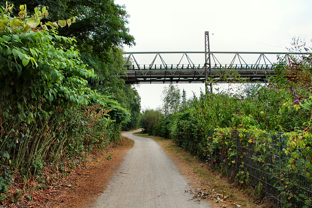 Weg neben der Bahnstrecke (Bottrop-Batenbrock) / 22.07.2018