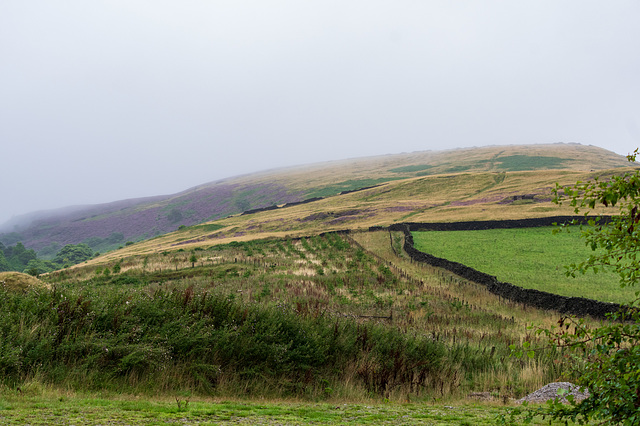 Low cloud on the Yellowslacks path