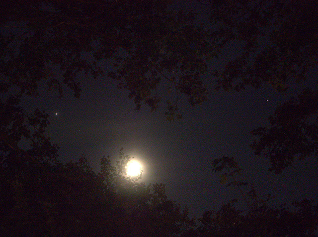 Moon flanked by Jupiter and Saturn