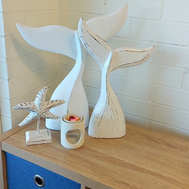 126/365 2025 Vet decor