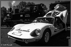 Melkus RS 1000 Schwarz-weiß