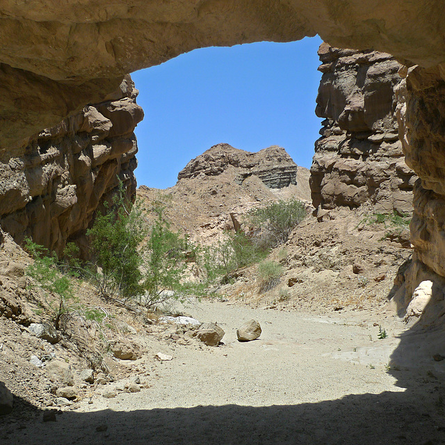 USA - California, Anza-Borrego Desert State Park