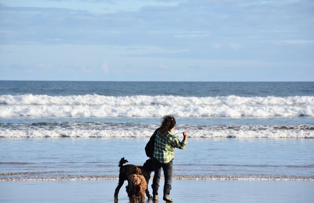 autumn at the beach