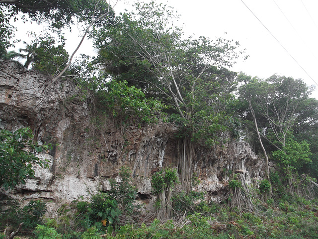 Parque nacional de Alejandro  Humboldt