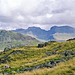 Looking to the Scafells from bear Winscale Hows (Scan from Aug 1992)