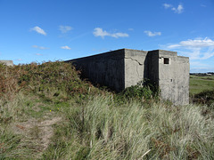 wg (1513)
