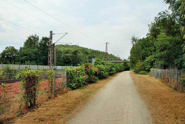 Weg neben der Hamm-Osterfelder Bahn (Bottrop-Batenbrock) / 22.07.2018