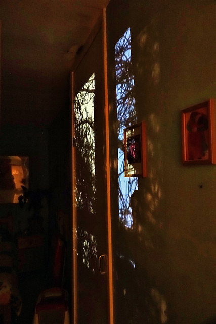 Night Shadows And Window Views
