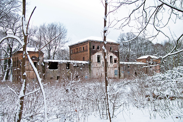 Haus Fühlingen 3