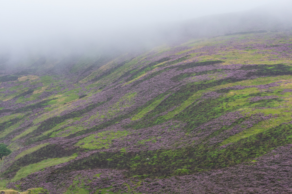 Low cloud on Lordship Hill