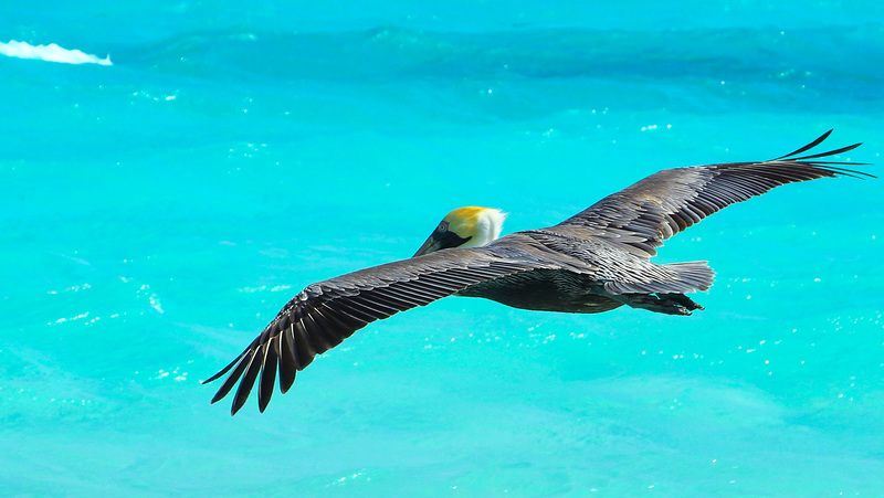 Abflug