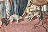 Siena 2024 – Santa Maria della Scala – Cat and dog