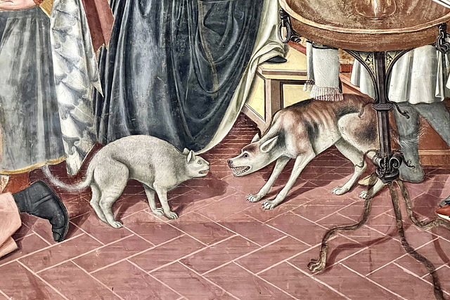 Siena 2024 – Santa Maria della Scala – Cat and dog