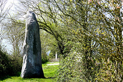 Menhirs du Plessis