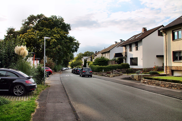 Ruhrallee (Herdecke) / 16.09.2024