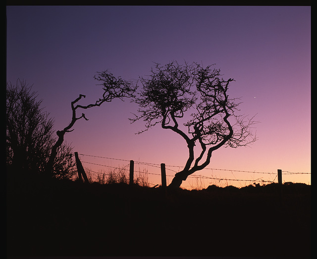 Aberdeenshire / evening star