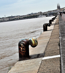 Cycling from Bordeaux Vineyards to the Atlantic Coast /Bordeaux