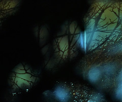Night Shadows And Window Views