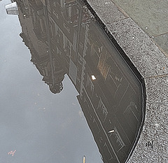 puddle reflections ...