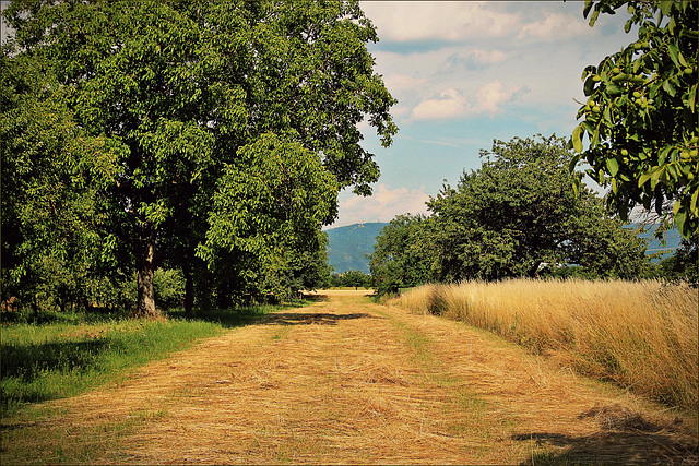 Sommerzeit