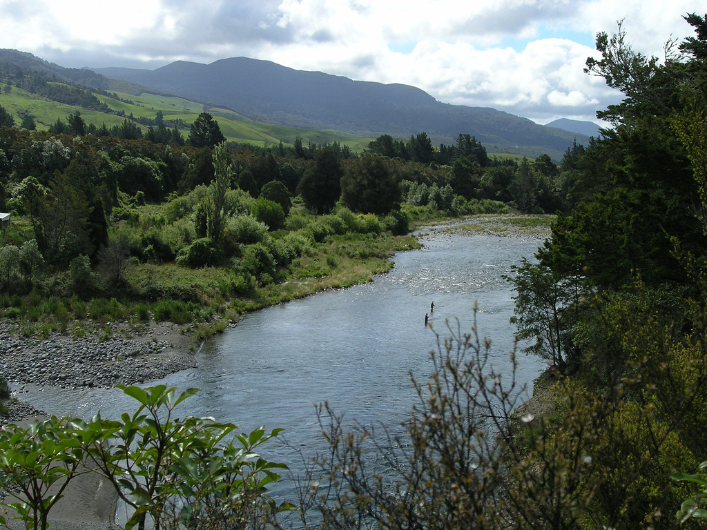 Anglers fishing trouts in Tongariro river