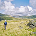 Looking to the Scafells from bear Winscale Hows (Scan from Aug 1992)