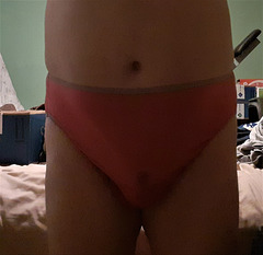 gf's nylon fruit of the loom  panties