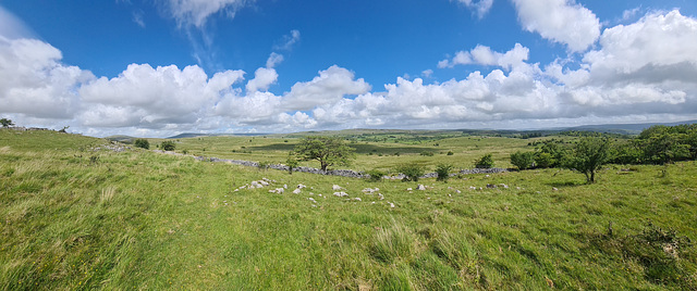 Carnau Gwynion