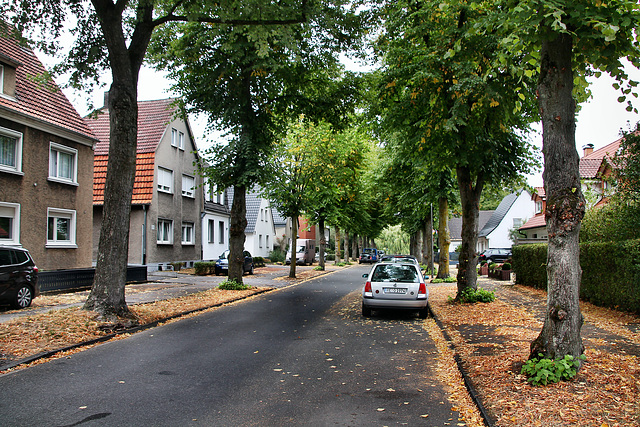 Kniestraße (Marl-Hüls) / 27.08.2022