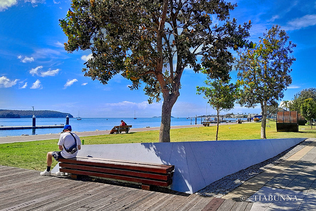 Sit and look at your phone