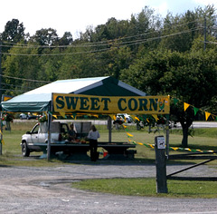 Sweet corn