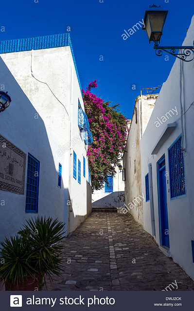 north-africa-tunisia-sidi-bou-said-traditional-typical-white-house-DWJ2CK