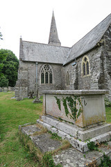 sheviock church, cornwall (35)