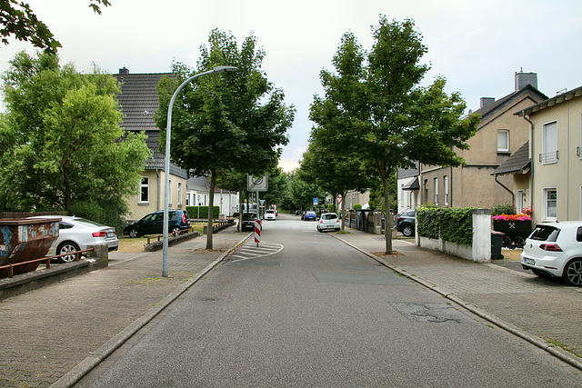 Steigerstraße (Bottrop-Batenbrock) / 22.07.2018