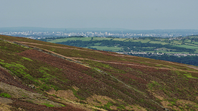 Manchester from Span Moor