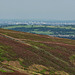 Manchester from Span Moor