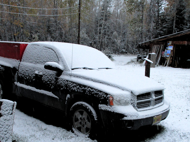 Dodge in  the snow