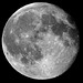 IMG 9181 Moon dpp