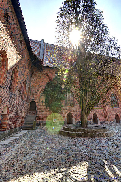 Malbork 23