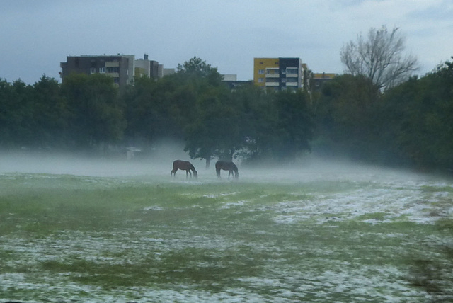 Wintereinbruch in Hamburg??? (PiP)