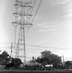 Plant shop under the power line tower