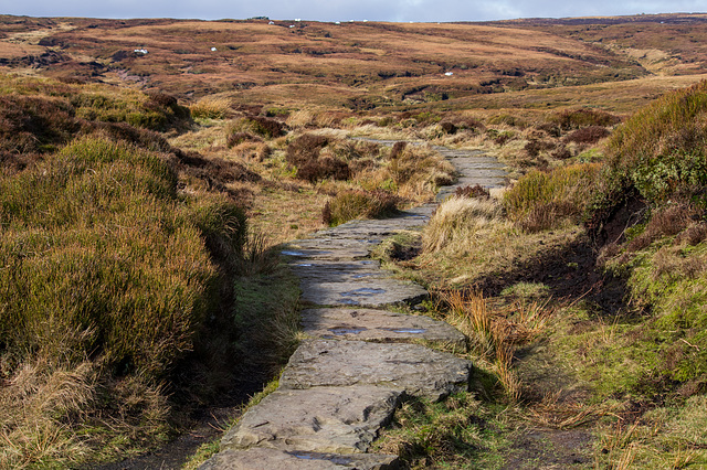 Pennine Way footpath